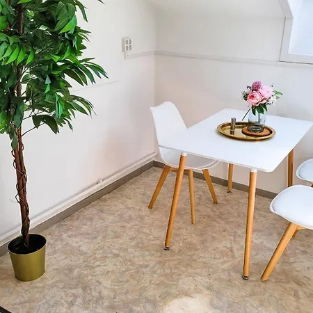 Apartmán Dg L- Helle 40m2 2-zimmer Naehe Salzburg *